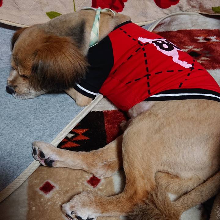 Eaf20980 8749 4b16 bea5 02cd098d3379 1552221385920