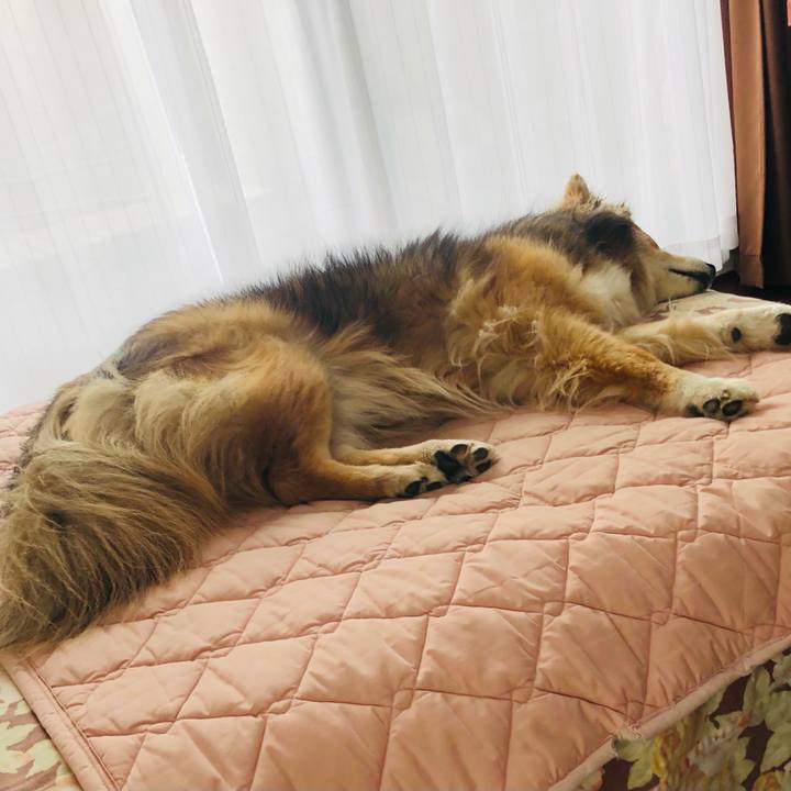 Eaf22644 b2b0 41ba 8480 3976ec61e693 1620643142221