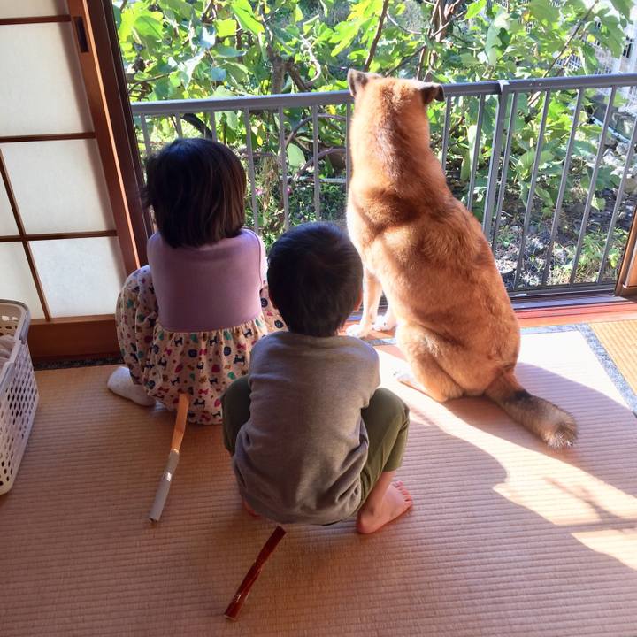 Eaf248a1 13ee 41b6 ae94 6c734a1fbb82 1540686016212