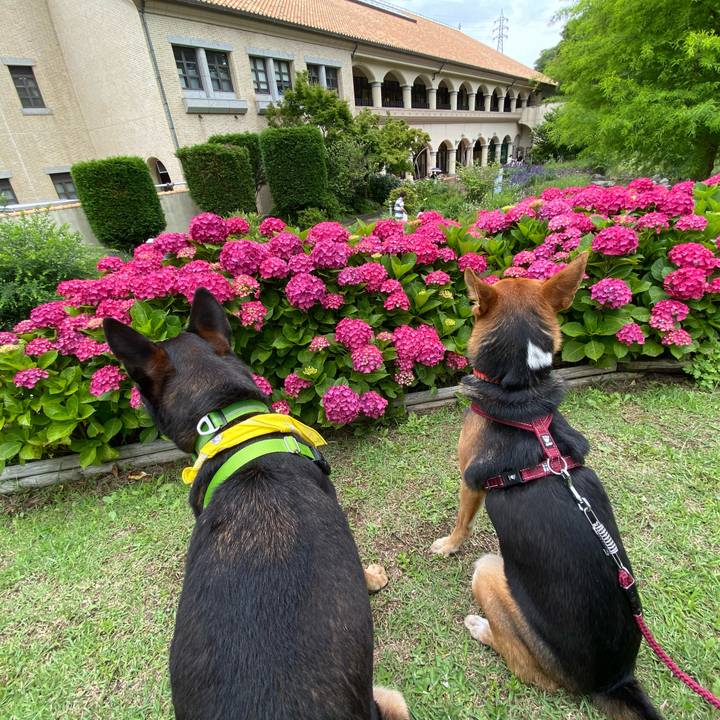 Eaf25c32 cf95 4797 9b5b 733ce8cbda82 1592632159057