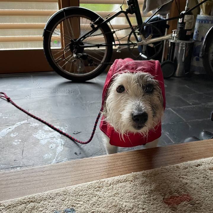 Eaf262a8 6b89 4fd4 b566 c5d993fc13d9 1716160000047