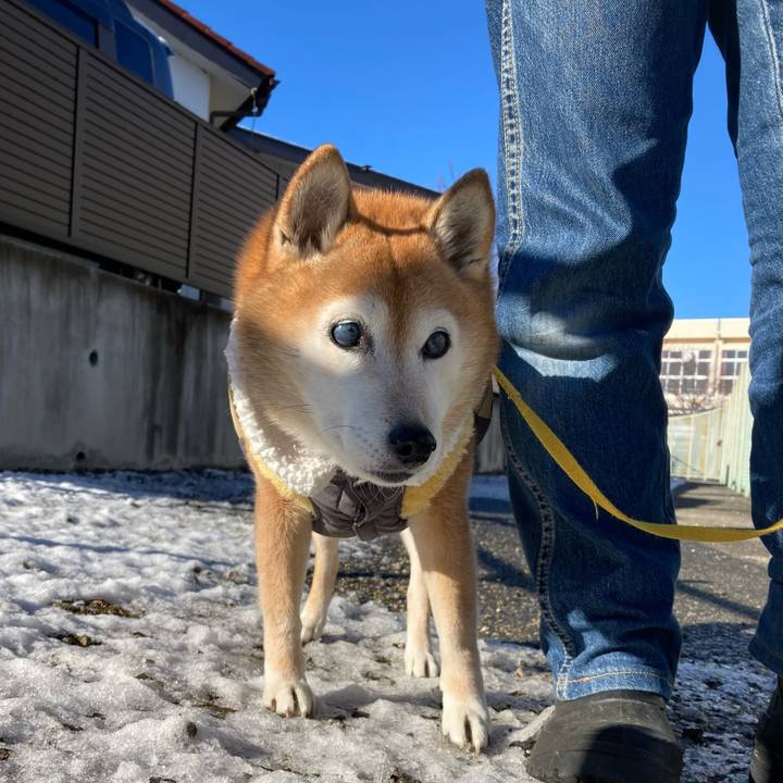 Eaf27dd3 2520 40bd 8a69 9a29e9d66201 1767409493726