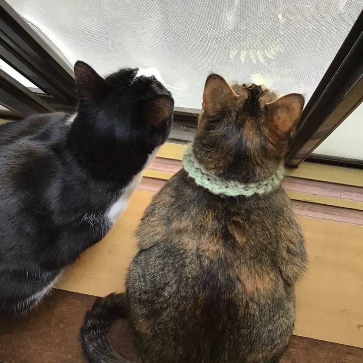 Eaf2c5b2 58b2 40ec 8366 983b96003288 1646986326667