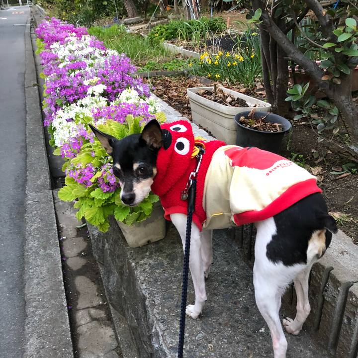 Eaf2eb2b c64e 4475 9308 f5f9e860d204 1520984650145