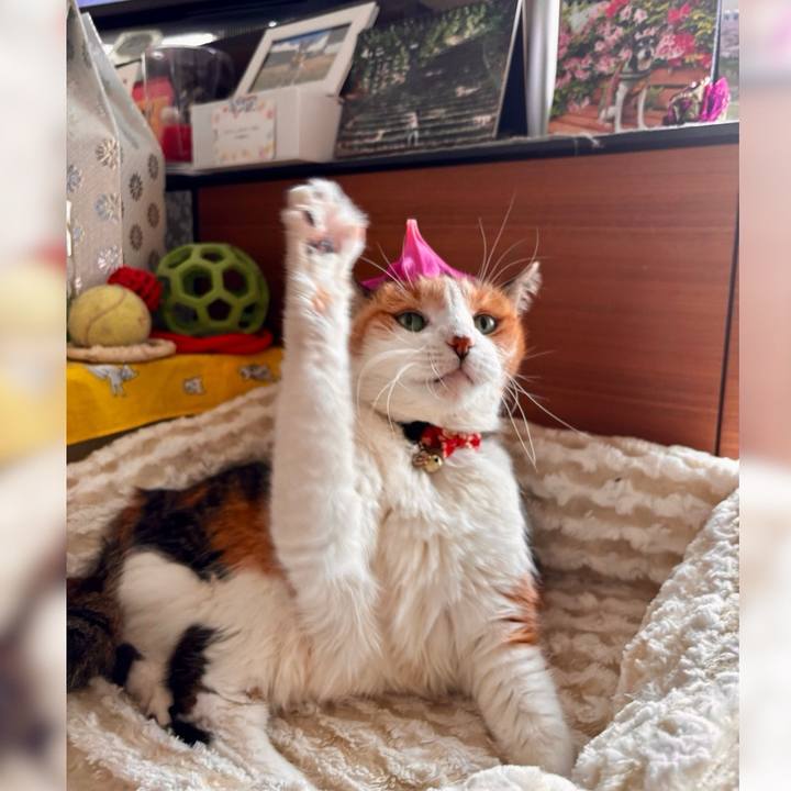 Eaf32625 6f32 4916 845f 1dcea8ad02a8 1714351057106