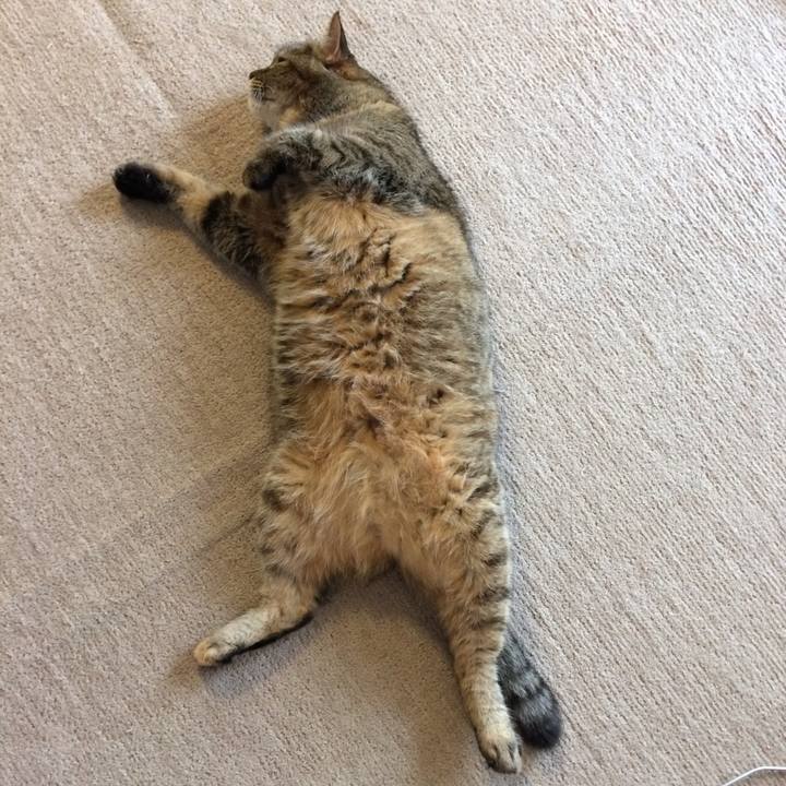 Eaf33884 4ea0 478f 8d23 5c7109b3d045 1591783299603