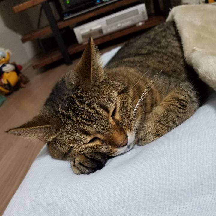 Eaf37d43 ca1d 4cd1 b259 66fae06ebb57 1602855496646