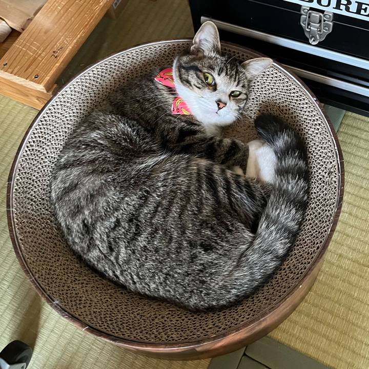 Eaf3cefd c633 4950 8695 6fb6fbfb9fd6 1718180389023