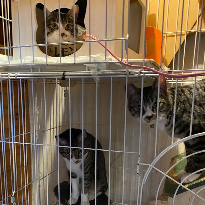 Eaf3f1b0 2b16 440b 8214 ff2ee7b32323 1707028923551