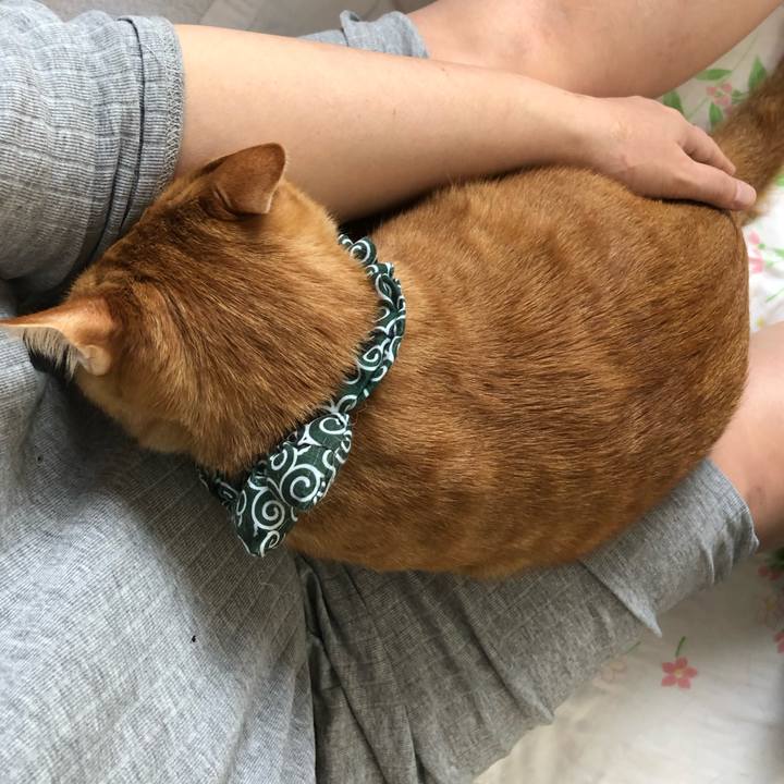 Eaf3f888 e9b1 48cb b828 9263ea471771 1578877883886