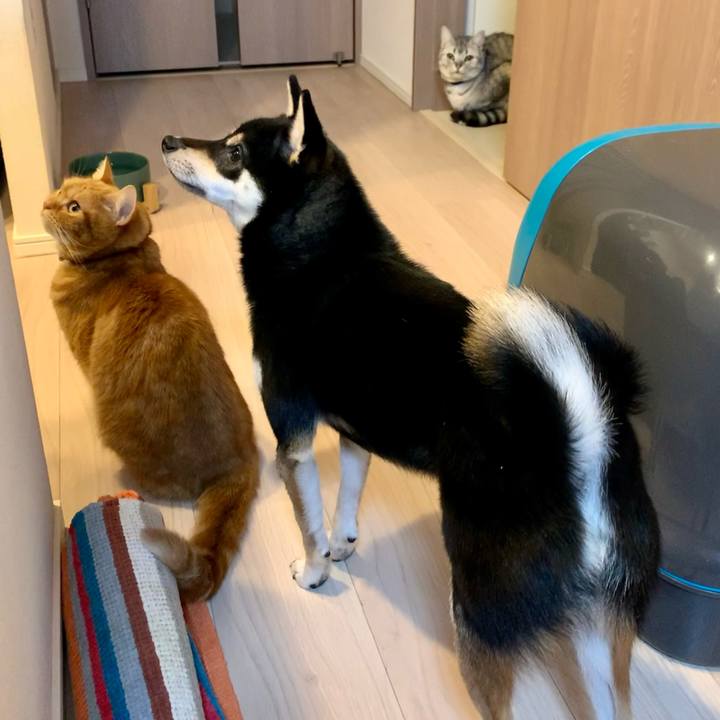 Eaf40567 c7e5 4793 8f70 e4ef0376417e 1609929702254