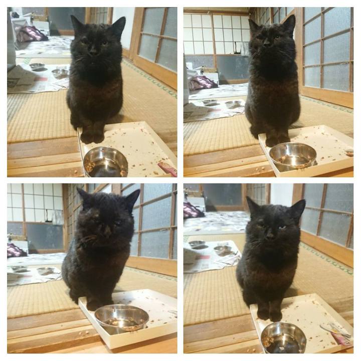 Eaf45e6d 4eb4 4bcd ae6b 1ddb3c86a571 1618828272648