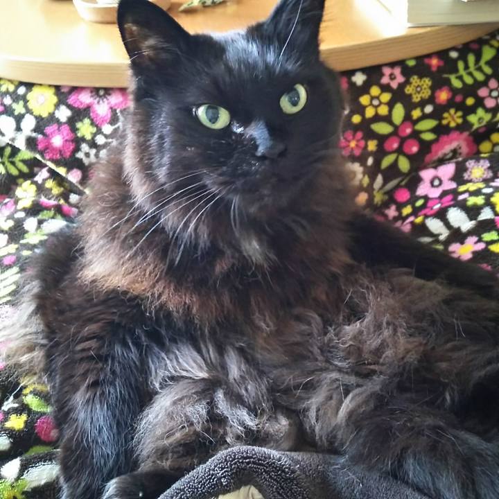 Eaf4af62 0320 4dfd b454 87522ae5b6e3 1549431565068