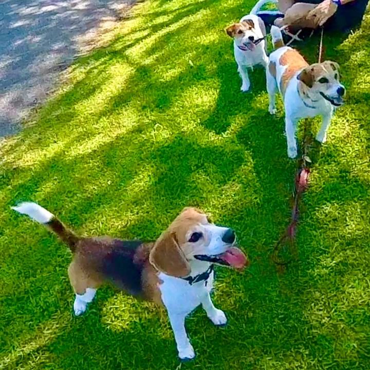 Eaf4cc71 661e 4bc3 b6f2 ef7beb46f250 1718710294914