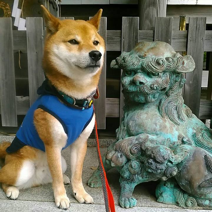 Eaf4f995 1300 4e84 87ba 40fed3c95840 1552213969326