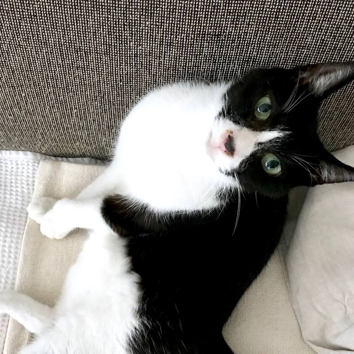 Eaf53c09 8bdd 4aa1 811c cf1dcc4e8886 1535004760180