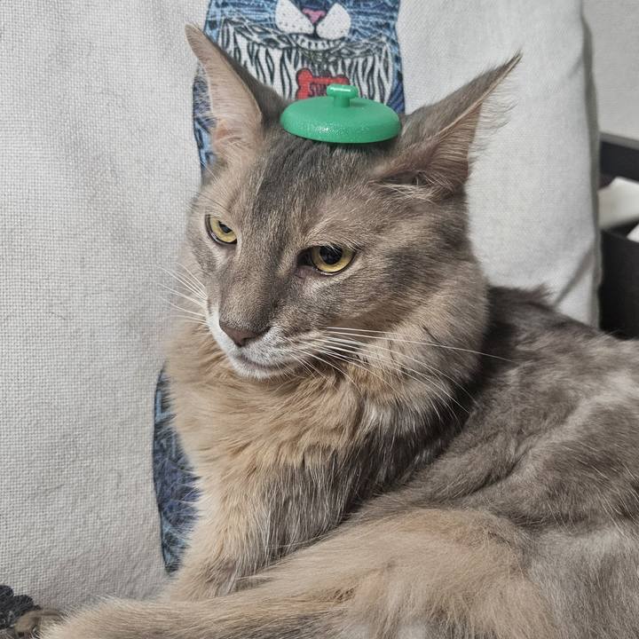 Eaf54527 6283 4c73 a650 3dc3d2b55e93 1734234957089