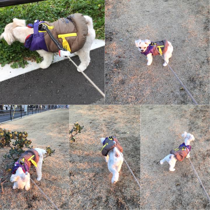 Eaf582ea 2f6e 4bb5 98e6 afeaa2a420a4 1516437499436