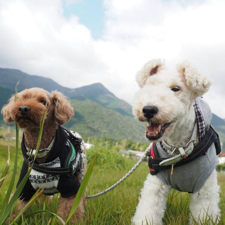 Eaf5c78c 3cd4 4a52 9659 6ffd814a2af9 1571717299043