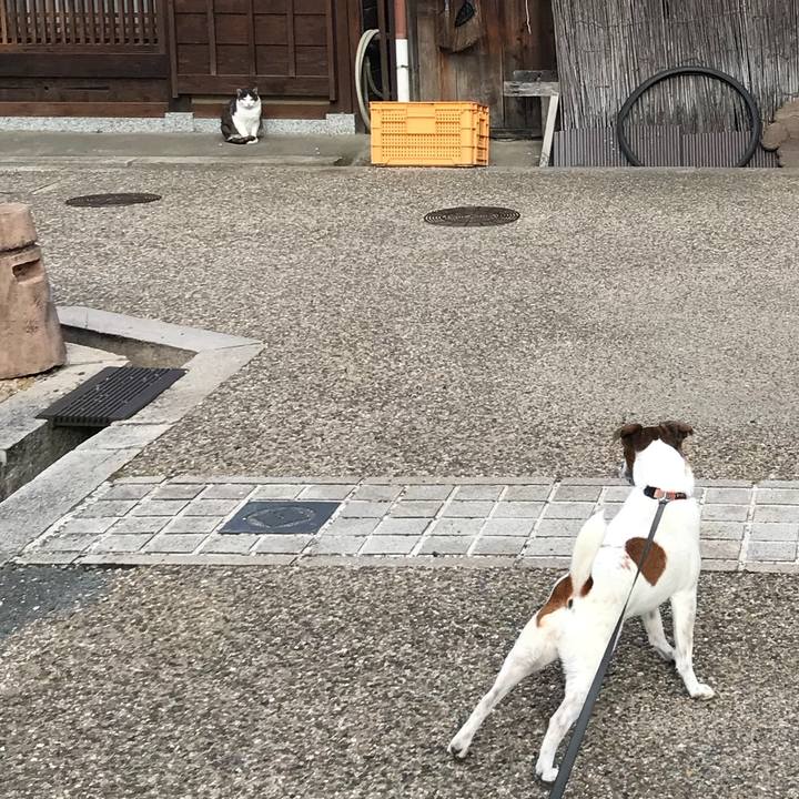 Eaf5ebb5 19da 4e71 bc9d cbb0ea957ffb 1526802305328