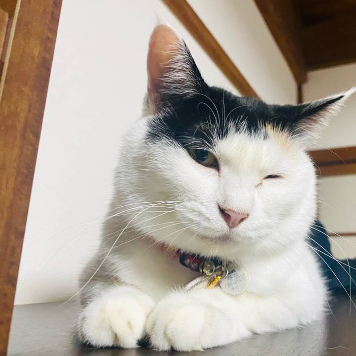 Eaf60088 6881 4cc9 84a2 ae1892cf2c63 1723898515205