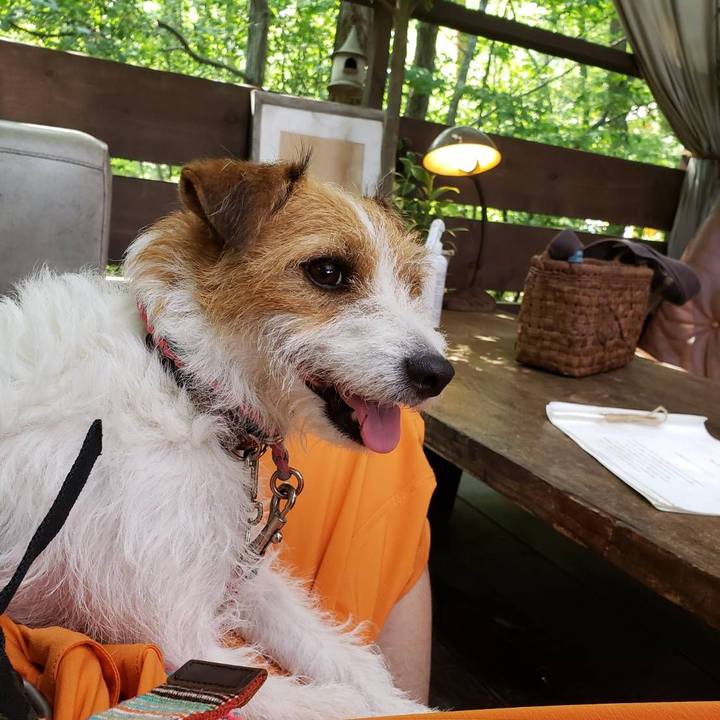 Eaf609c1 dd9b 4df3 8948 7ceaf1248812 1626934763455