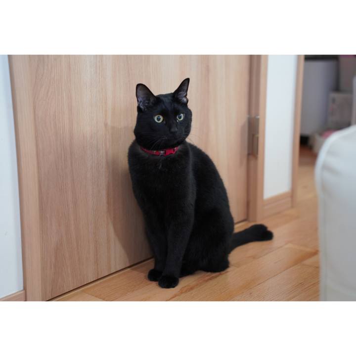 Eaf61f7b ab63 4fd0 98d6 02447dda5bc9 1669074989159