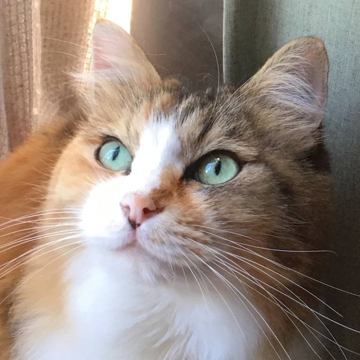 Eaf61fcc f902 4b20 b58f 68523ea84d9d 1569568334578