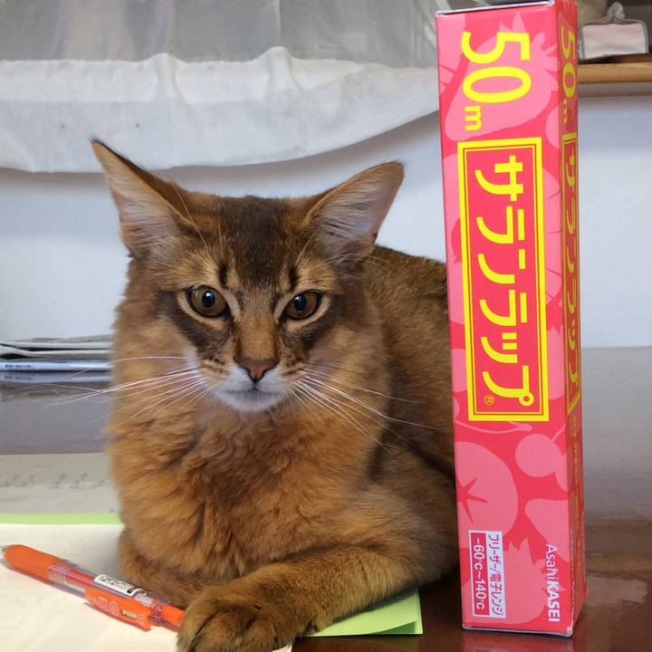 Eaf63044 e266 4f74 ac88 2c7327cb65fb 1585091778767