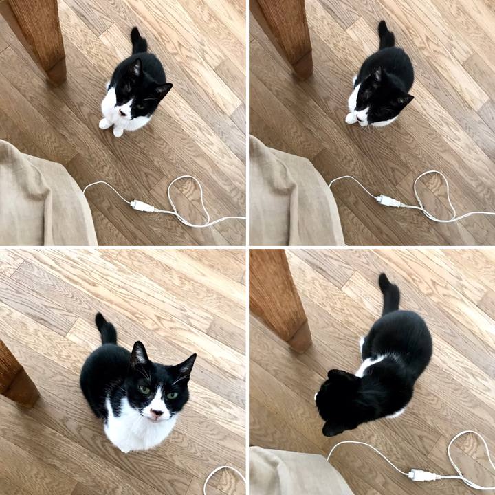 Eaf64c3f 8a9c 4887 9b07 7235859aae36 1554020184111