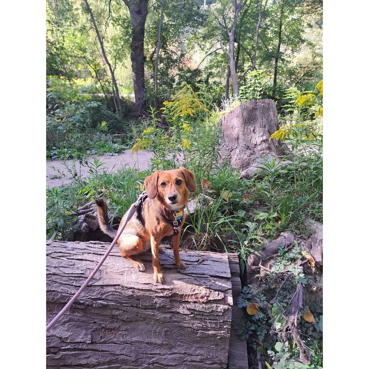 Eaf656dc 6466 43b3 b4db 234b1e06136b 1758384612205