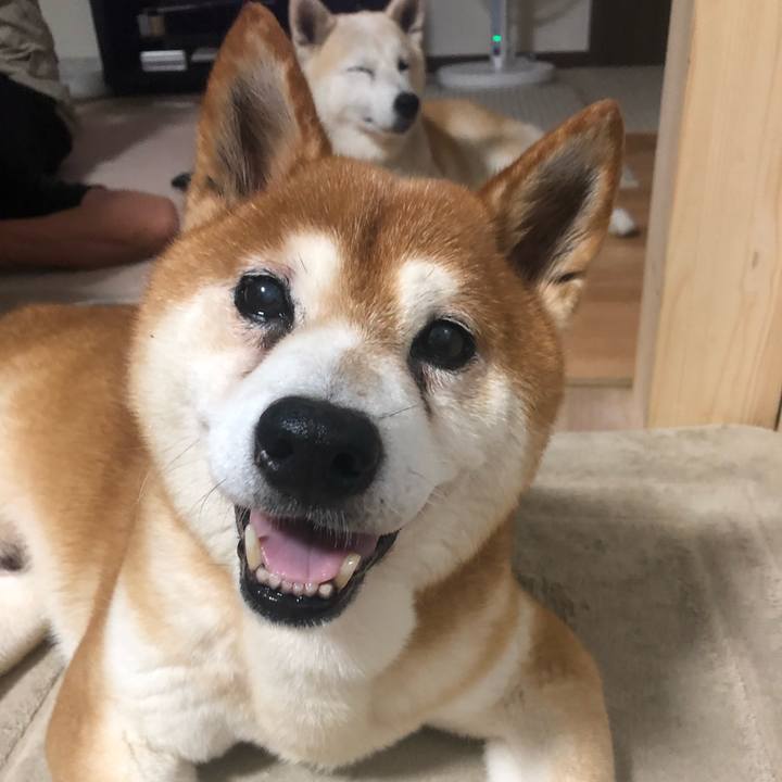 Eaf6743d 340b 48ee 9f19 cb2c22c5da67 1566426868058