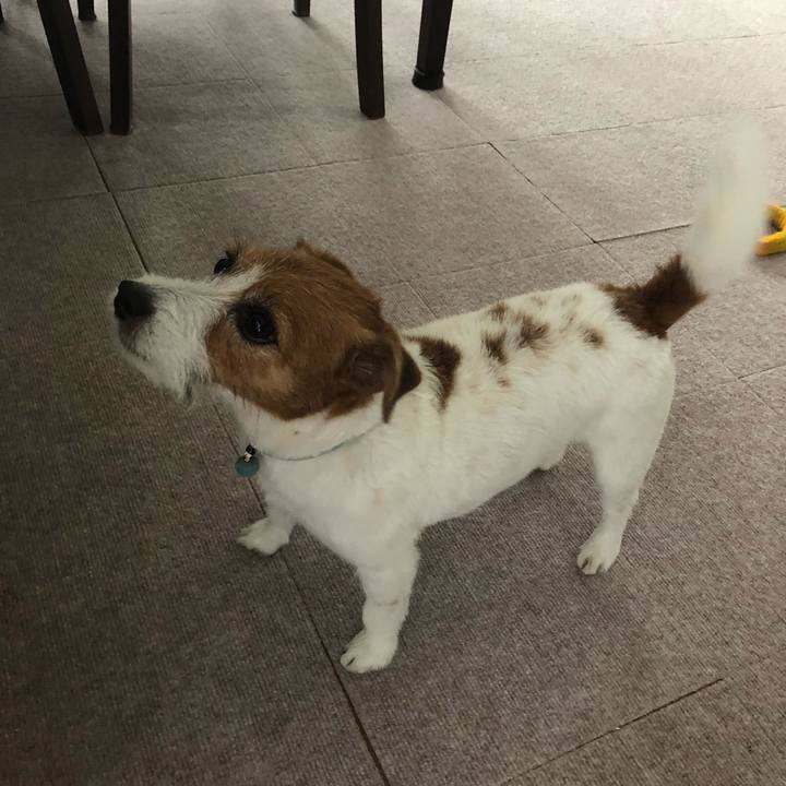 Eaf68e1a e447 493d a7f3 651a63d1ddb0 1562486018109