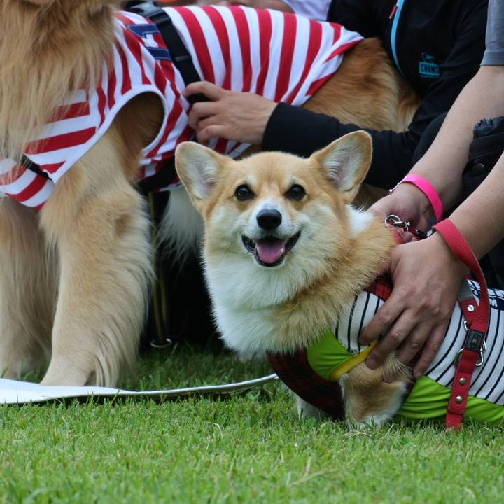 Eaf6a1ae 49e1 4659 b76b 6c426f8e7231 1569143054162