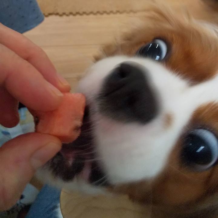 Eaf6a270 404d 42c3 ae16 0b67b93346e7 1596980471780