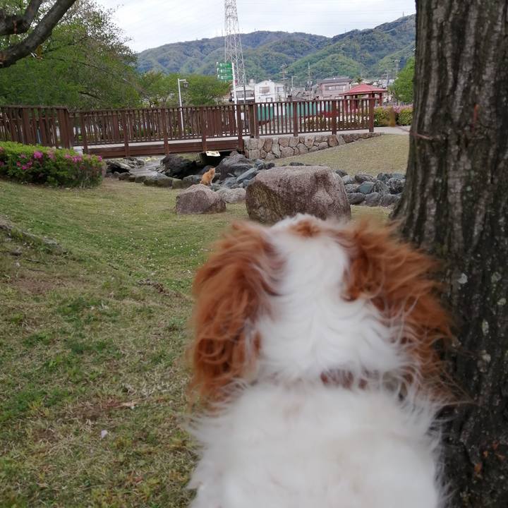 Eaf6abca eb43 44d2 8fec a434f3693605 1618659640511