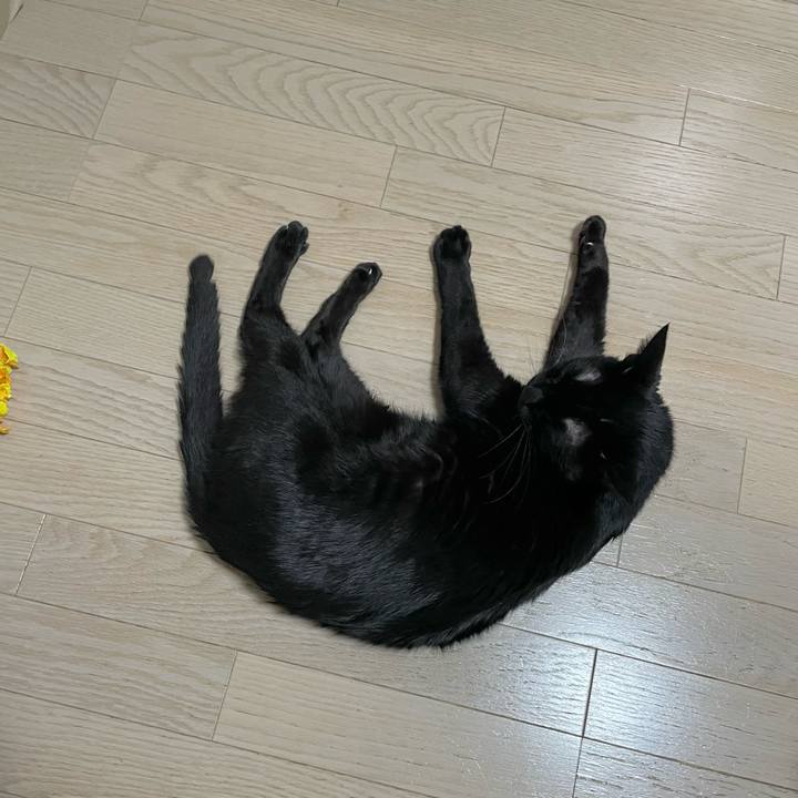 Eaf6b3cc 528d 4354 ac72 305a707aeefb 1678360770421