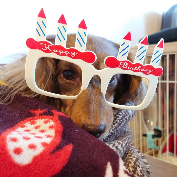 Eaf6c2f3 5fbd 4119 9cb9 b84931cc1579 1674089356860