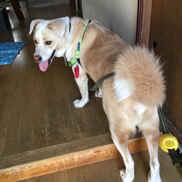 Eaf739db 510b 4874 8536 acf4aff0f4b6 1535504867826