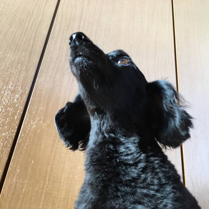 Eaf74464 54f2 4059 b693 b428bc93cbe6 1511131274842