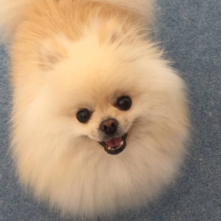 Eaf7b793 0cdb 4ef9 a072 7ffd49d25c44 1528779576387