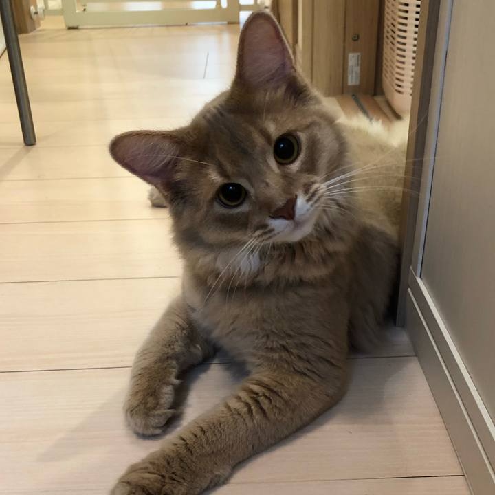 Eaf7bd80 0bdf 4cbe b50c a20cba86ada2 1561167773328