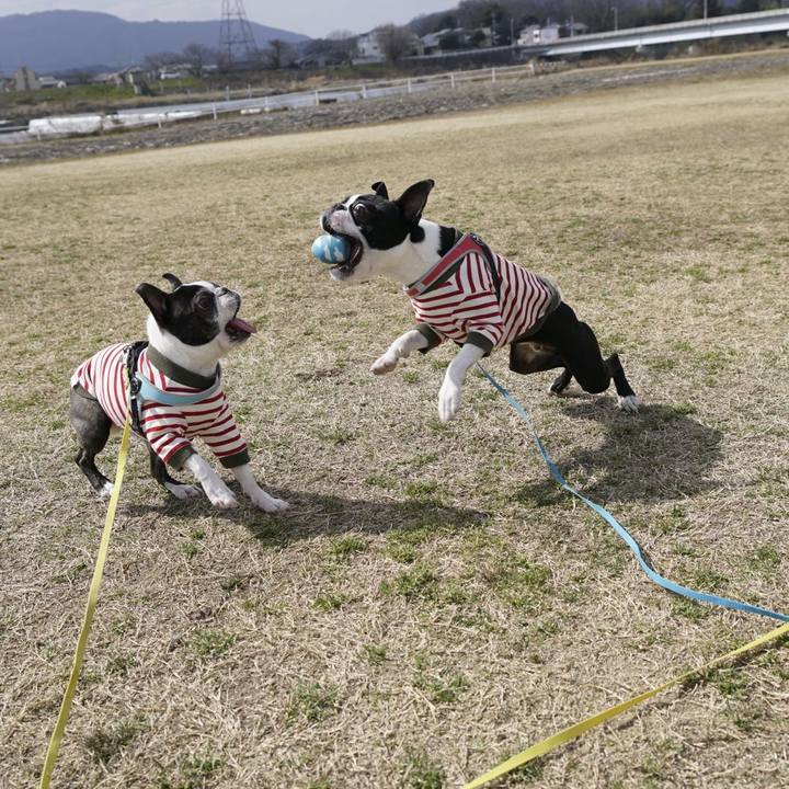 Eaf7dbe0 6acc 437f 96c9 76bc5afbee35 1519632352727