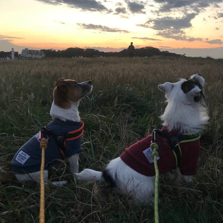 Eaf7dc27 2b0f 40af a560 b4362a82f2c5 1540372350967