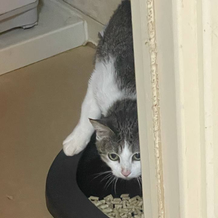 Eaf7de03 2e96 4a6a b6cb 3048da2639ce 1626573394190