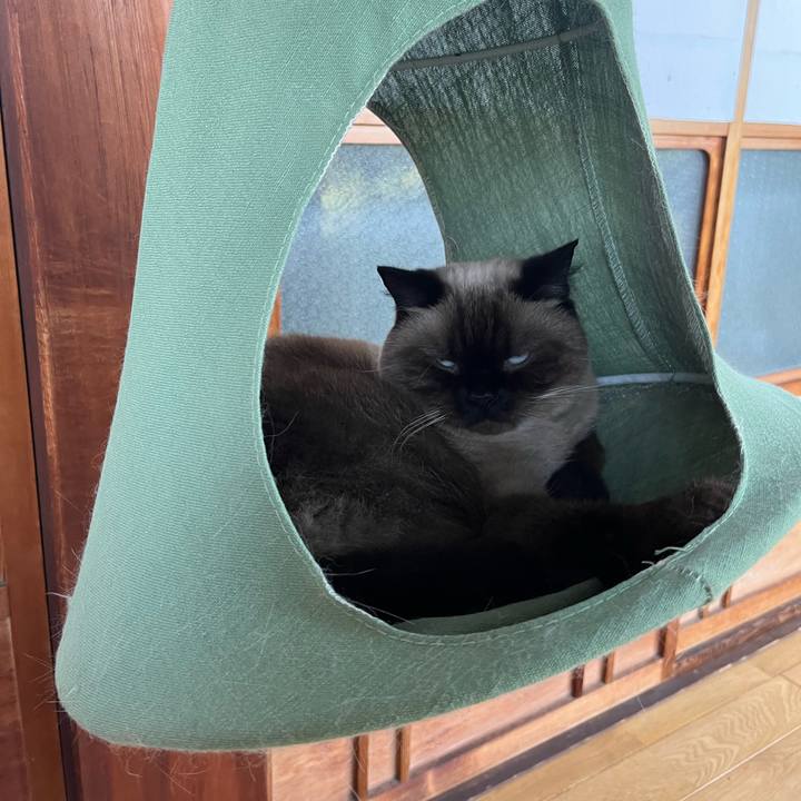 Eaf80b34 904d 4bd6 b941 dc05900513e1 1664604210096