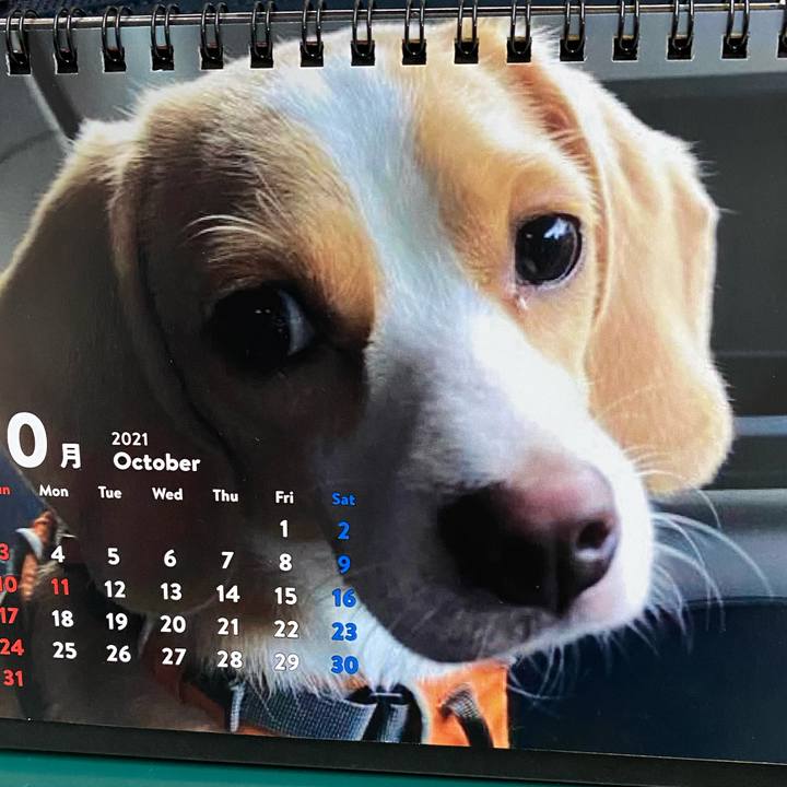 Eaf81b48 840b 4a4f b694 2d1eb45df757 1634256903110