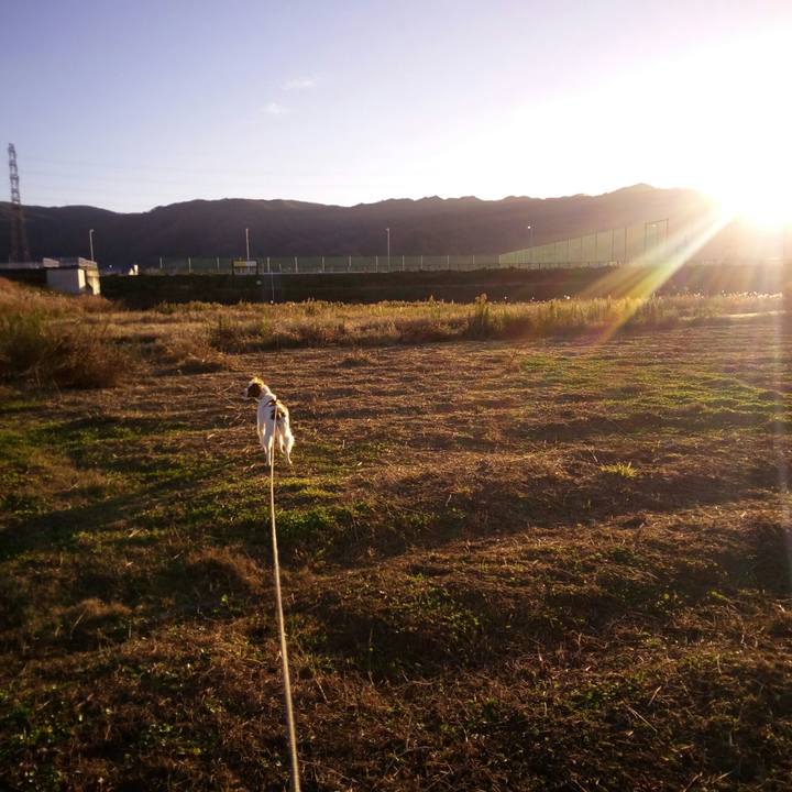 Eaf823cd c870 48ee 9296 48d2f4d4ff69 1513037325074