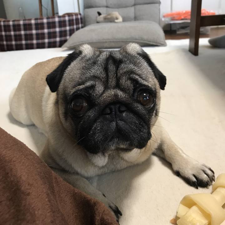 Eaf838f8 189b 4f22 b544 29d4a36436f2 1529832801500