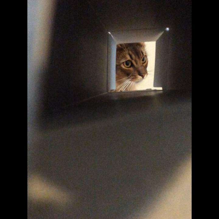 Eaf849a8 2712 4bda 895d 3f340036eec5 1601077650414